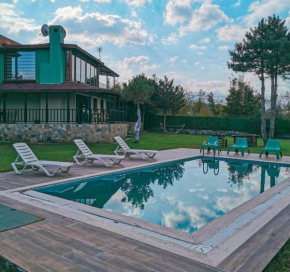 Fascinating Villa with Private Pool in the Heart of Nature in Sapanca